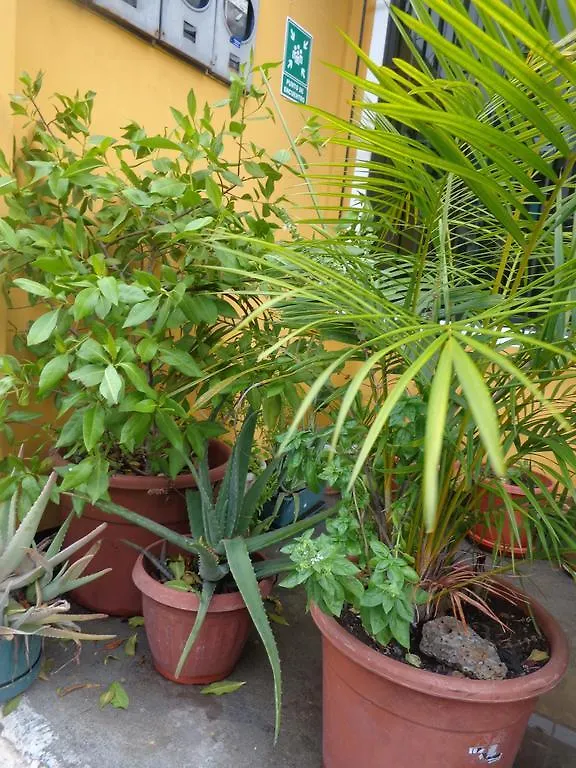 Pensión Hostal Casa Cascada Puerto Ayora